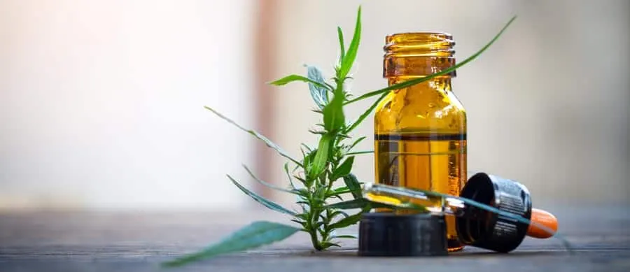 marijuana dabs