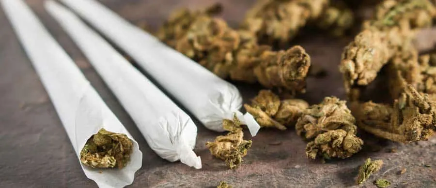 marijuana addiction