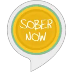 sober now alexa skill