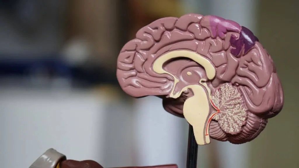 A Study on the Effects of Addiction on Mental Illness